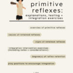 Let’s Learn About Primitive Reflexes!