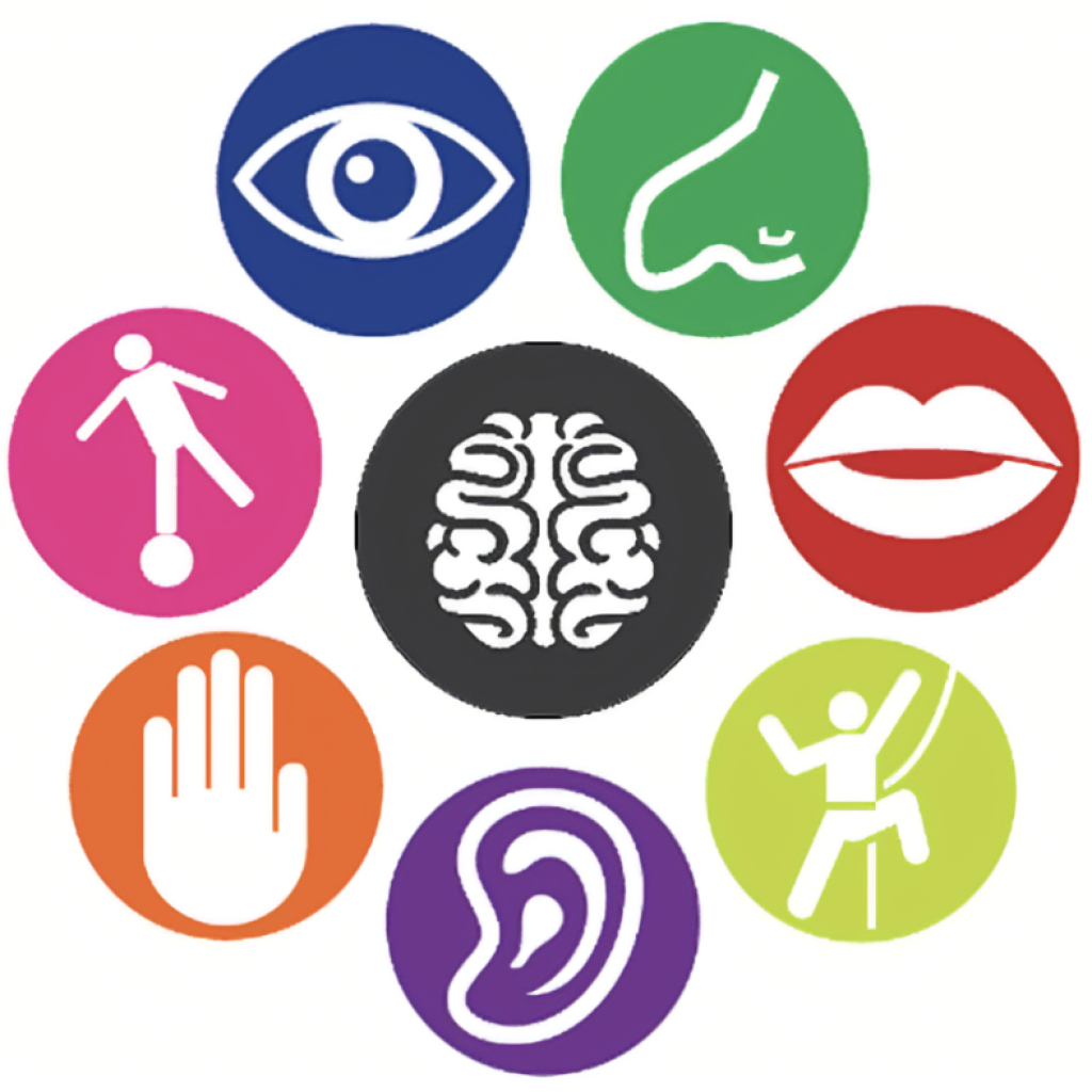 All the Feels: Exploring the 7 senses